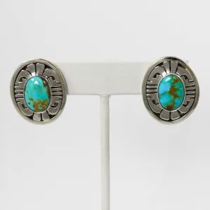 Blue Gem Turquoise Earrings