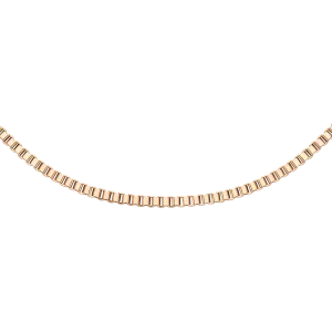 Box Chain Necklace RG