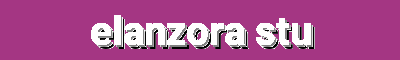 ELANZORA Studio | Artistic Accessories That Make a Statement